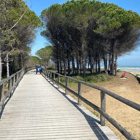 Lovely Flat Next To The Beach-beahost Lejlighed *
