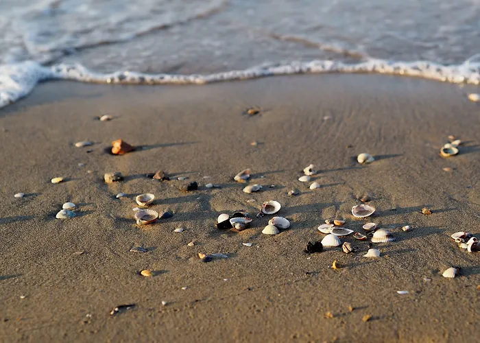 Lovely Flat Next To The Beach-beahost Appartamento